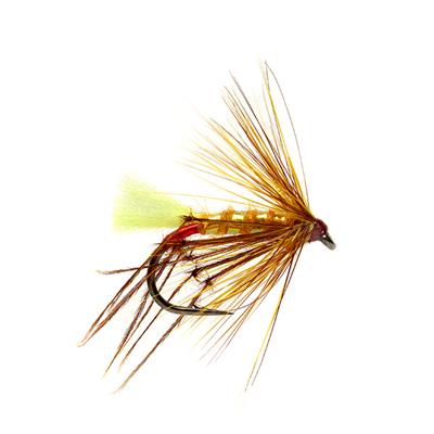 Irish Hopper Golden Olive