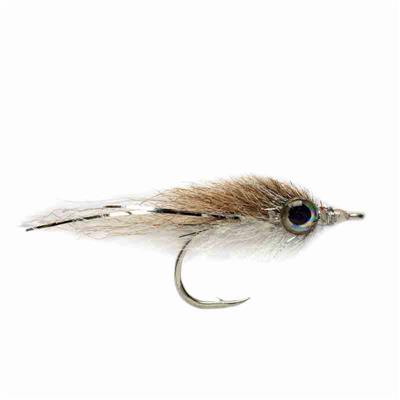 Salty Minnow Tan & White