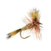 Yellow Wulff