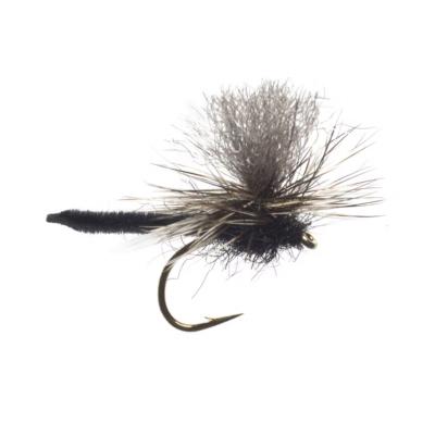 Jackie's Black Palamino Parachute