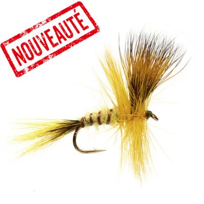  Jackie's Yellow May