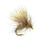 Sedge Emergent