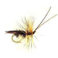 Sedge Saville Super Silver