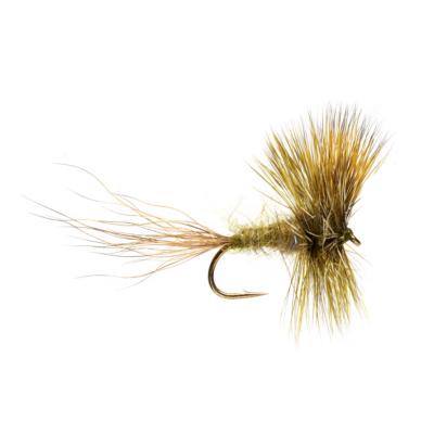 Jackie's Mask Mayfly