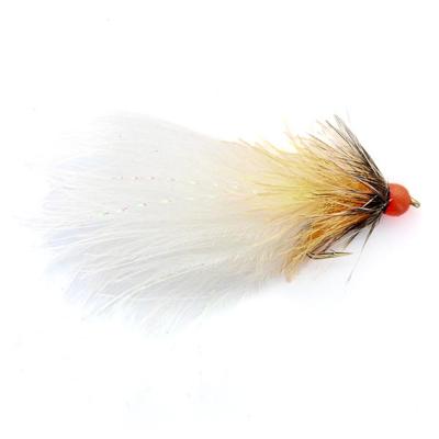 Hot Taddy Orange White