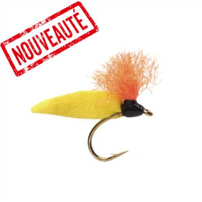 Procter's Willow Grub