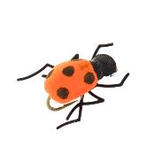 Bug Orange