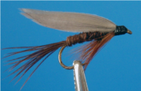 Pheasant Tail Std