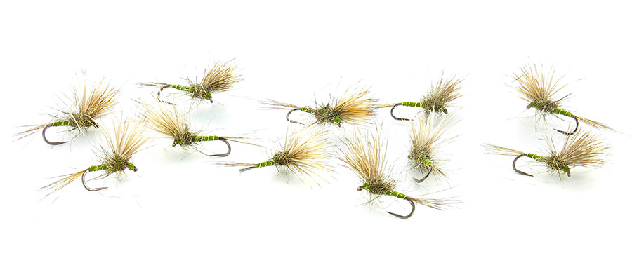 mouche Voilier olive