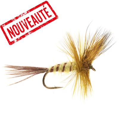Jackie's Yellow Olive May