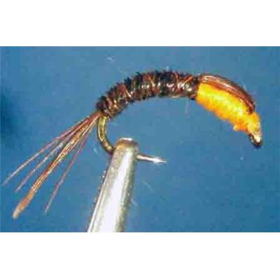 Chiro Pheasant tail