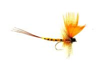 Mouches de Mai  - Grdes Eph�m�res