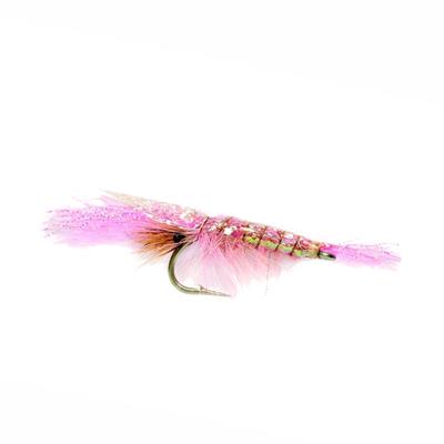 Flashback Shrimp Pink