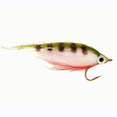 Polar Minnow Perch