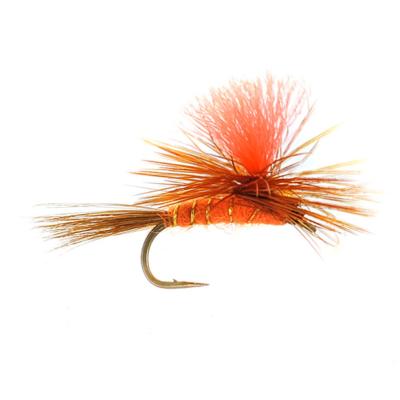 Parachute Roux Orange