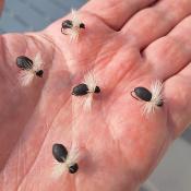 Fourmi Foam Barbless