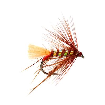 Irish Hopper Fiery Brown