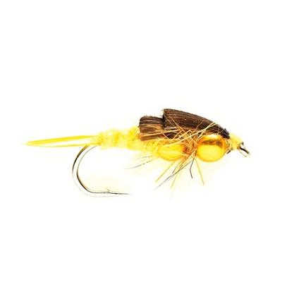 Stonefly Creeper Yellow