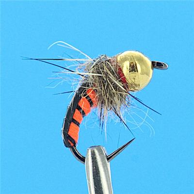 Big Grayling Orange