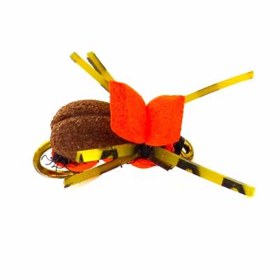 Bug Brown Orange