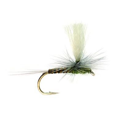 Paradun Quill Olive