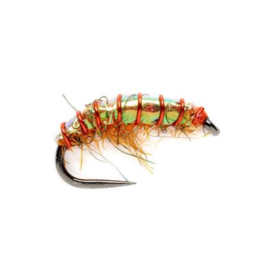 Jardine Orange Shrimp Barbless