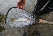 Nomad Middle Fork Net