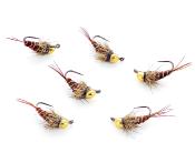 Javi Pheasant Tail